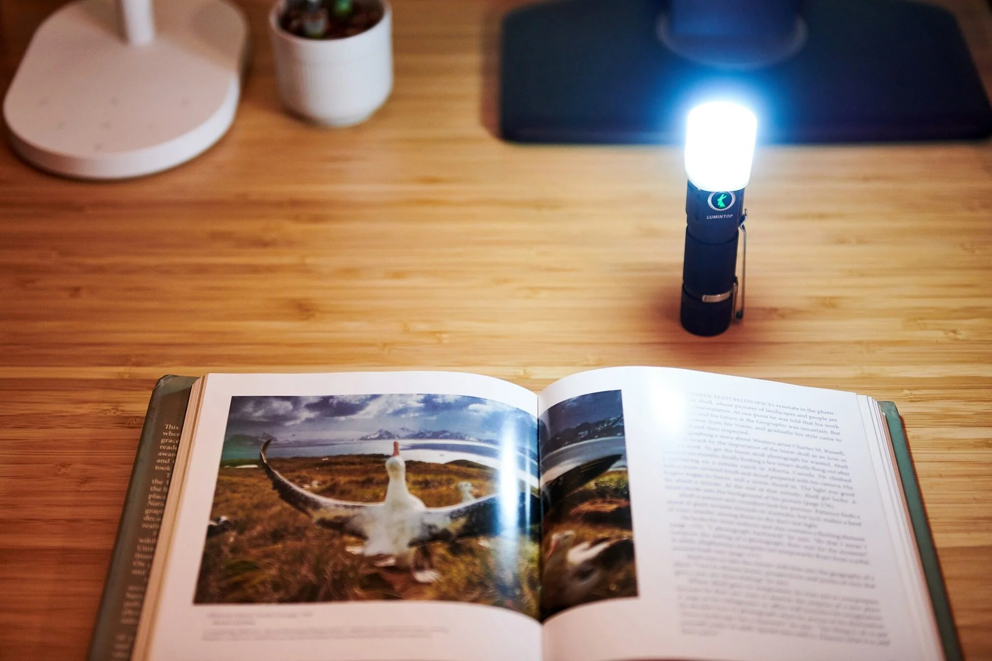 Glow Diffuser for EDC Flashlight - Image 5